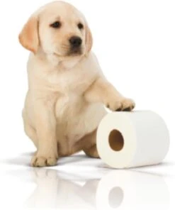 Page Toiletpapier - 32 Rollen - Kussenzacht Wc Papier (3-laags) - Voordeelverpakking -Dagelijkse Benodigdheden Verkoop 1001x1200 1