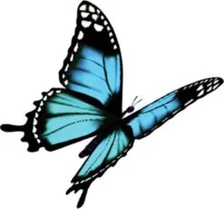 4x Robijn Klein & Krachtig Wasmiddel Black Velvet 1,19 Liter -Dagelijkse Benodigdheden Verkoop 1200x1118