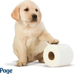 Uitgelichte producten -Dagelijkse Benodigdheden Verkoop 1200x1188 6