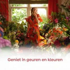 Robijn Klein & Krachtig Rosé Chique Vloeibaar Wasmiddel - 8 X 19 Wasbeurten - Voordeelverpakking -Dagelijkse Benodigdheden Verkoop 1200x1200 84