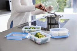 Tefal MasterSeal Fresh Mealprep Set - 5 X 800ml - Blauw 23 Tefal MasterSeal Fresh Mealprep Set - 5 X 800ml - Blauw -Dagelijkse Benodigdheden Verkoop 1200x800 19